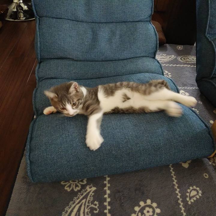 206ae4ff 2f01 4582 a84f 27f3355128a1 1566947490149