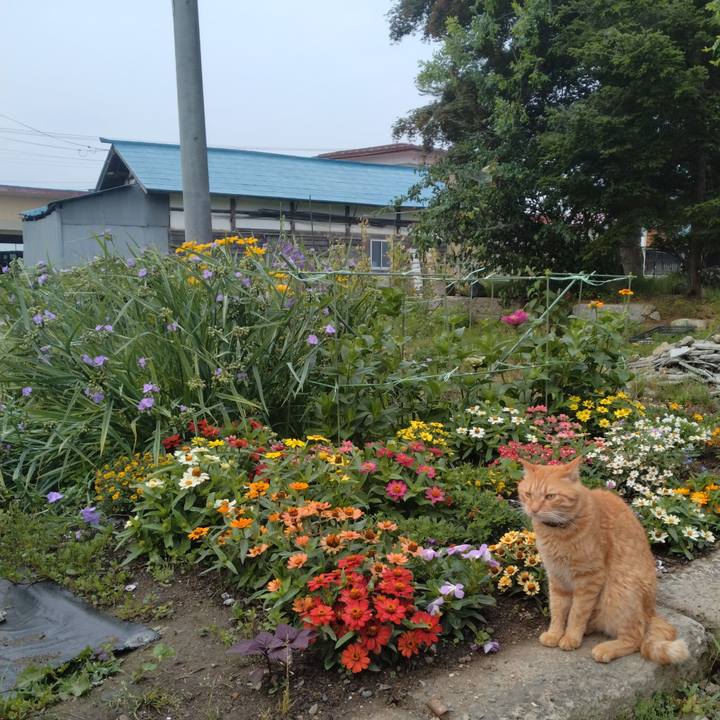 206b1faf 4cc5 4304 86df 4301c6ed5978 1719267304318