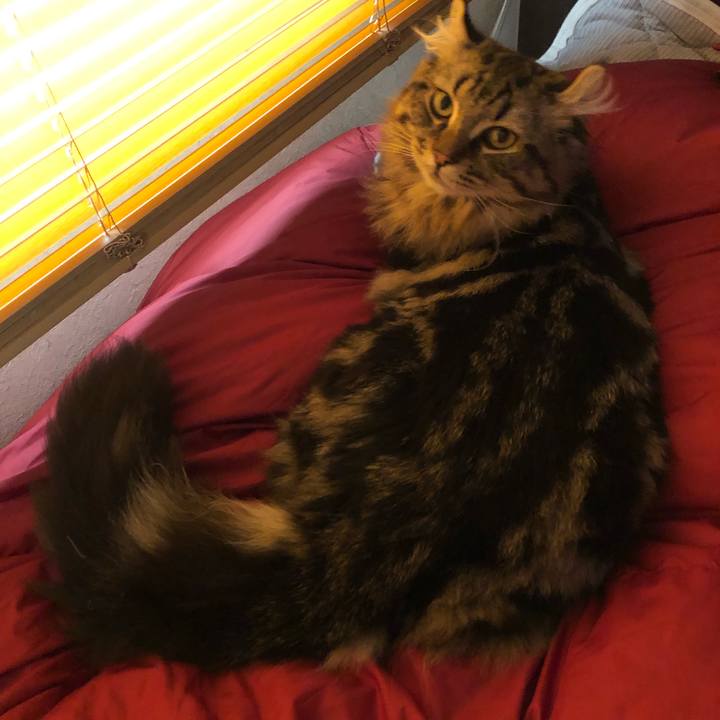 206b2cec 5b93 4881 b1f6 d5167d80dd29 1567408484218