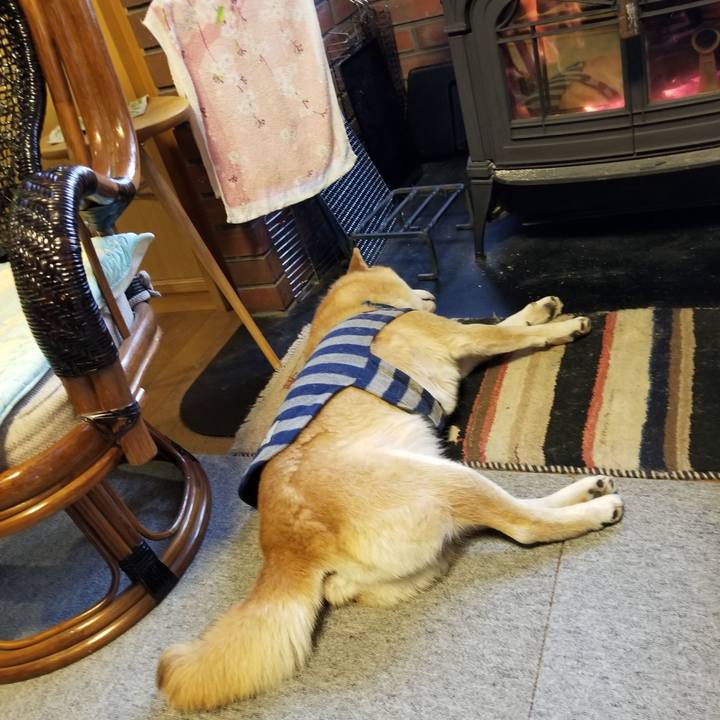 206b431e bba5 4002 be2f b8c1dd72821b 1579561784141