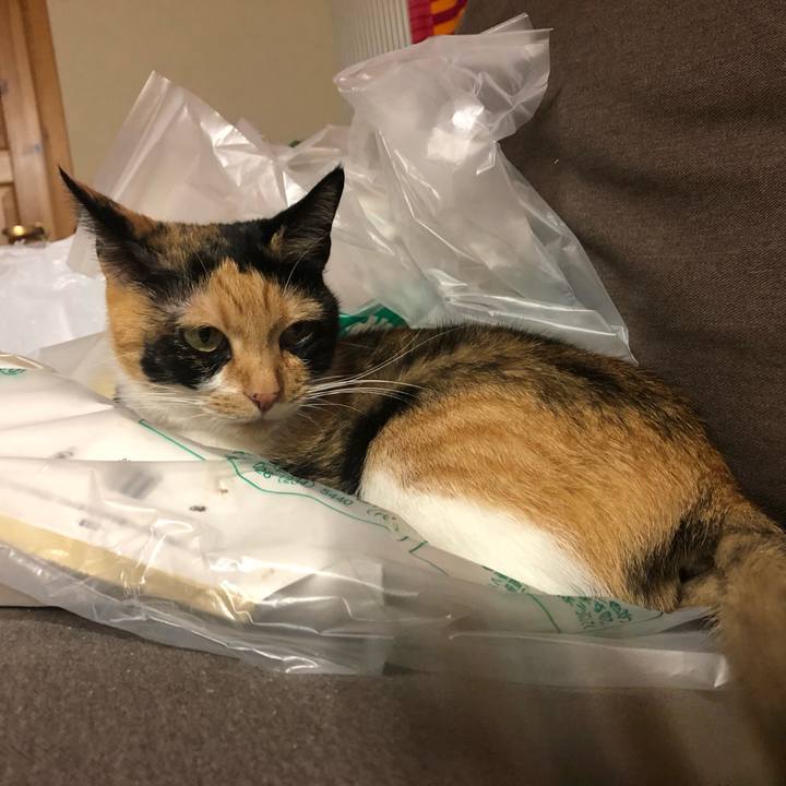 206b5d87 362a 4d0f bf1a 46db786b0395 1572079690074