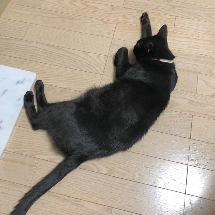 206b61f7 18ac 4b24 8c4e dde04d1e1f2b 1597930117159