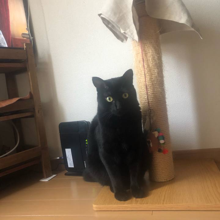 206c1fdc 1148 452b a519 9487012f9d8b 1565651965481