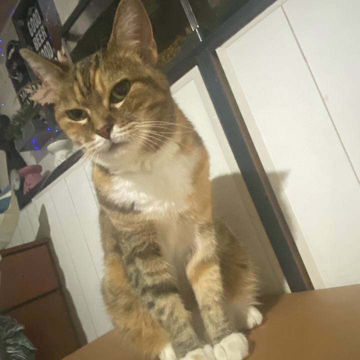 206c2670 c6bc 446a a3d1 a849d1187001 1724124697624