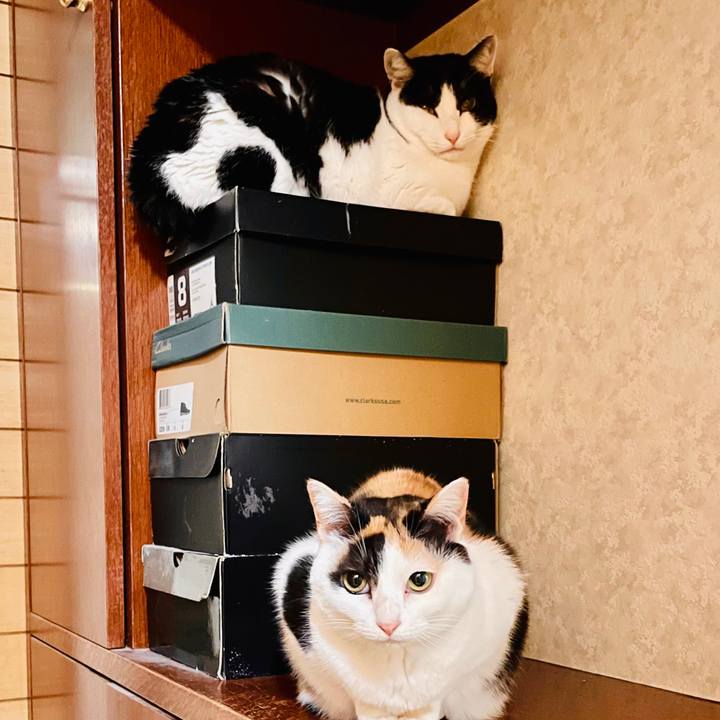 206c98e8 7925 41c5 9596 3bfcb615b7dc 1612922182159