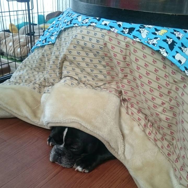 206cb1f4 7194 42b1 8c13 536b1b7c7c6b 1520039176775