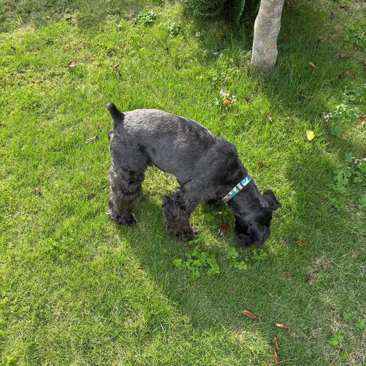 206cd5c7 5268 4015 8960 1e4452536627 1750482706025