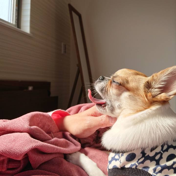 206ce36c 6af3 42f4 9d5f 26d76373d0b6 1588463339137