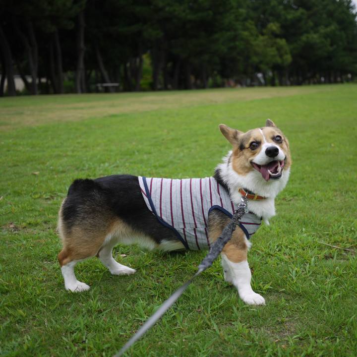 206cfd1a 5f0f 44c6 8592 9c0ec9a57e3a 1763305069341