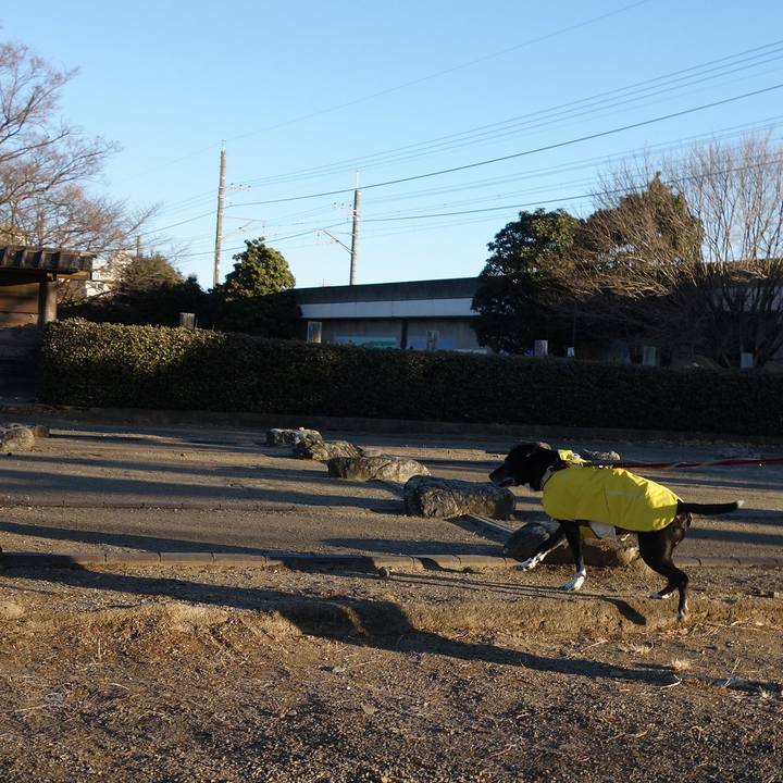 206d39ec 2848 4652 b59c 0a133d821a6b 1736813736379