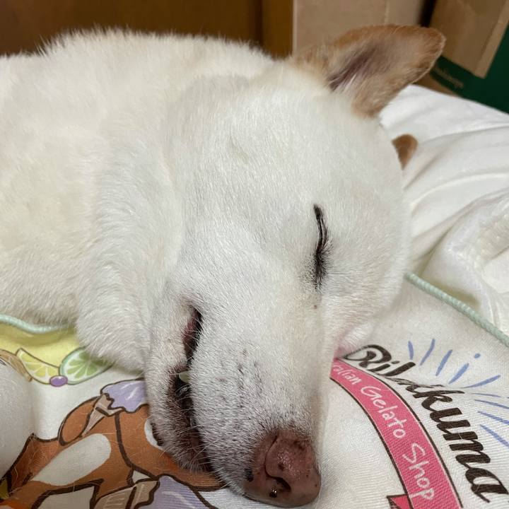 206e3429 ebc2 4294 8182 ec85db406d06 1634360641692