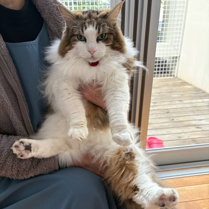 206ea702 debe 4a51 9cf9 25e5cfaea63a 1768094532158