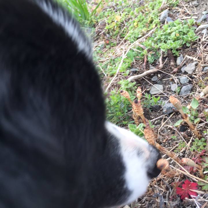 206eba80 3958 4188 8f7c d8fa75965b70 1520375828202