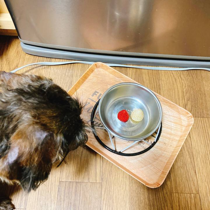 206ec0bb 5183 4164 9fa7 f3674be41663 1614957435967