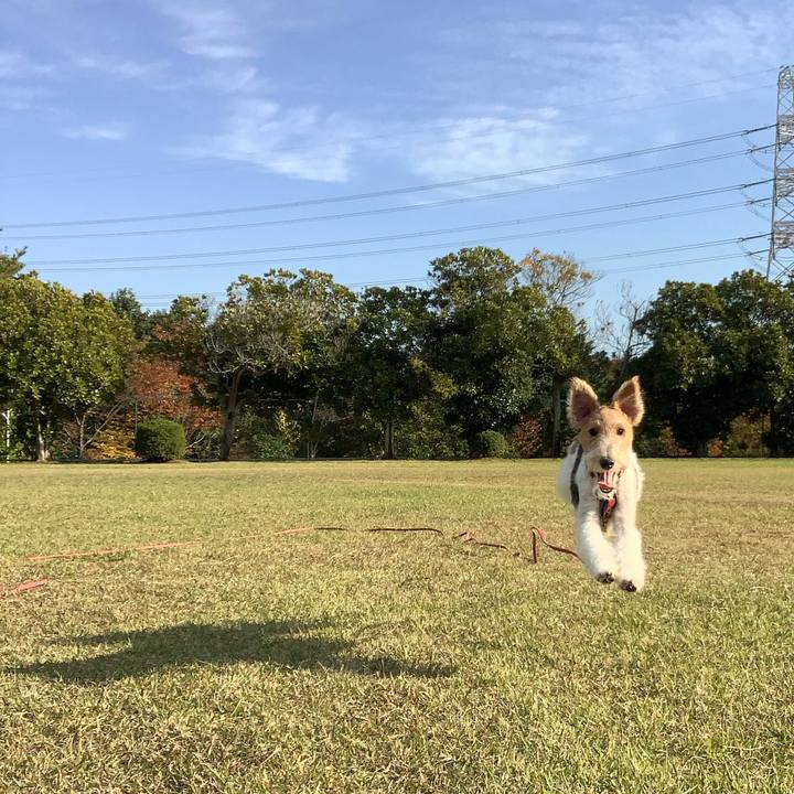 206f0f57 70ea 409c 9738 dd0603a6eecc 1762757839839