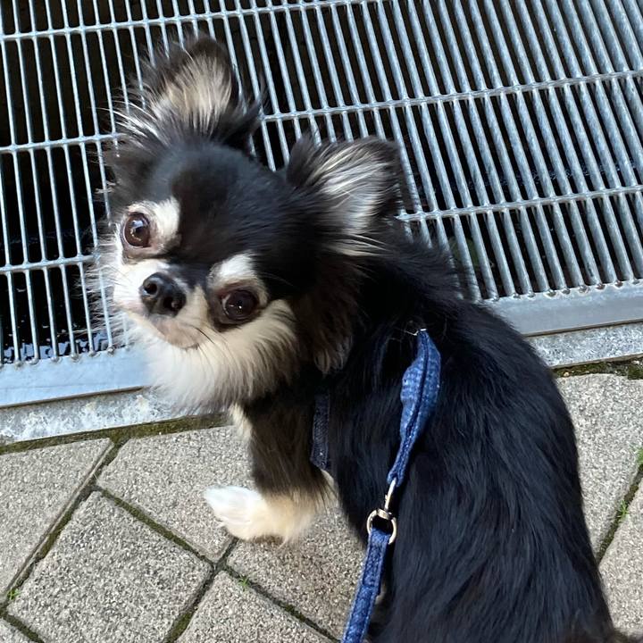 206f14df 85fe 4590 85c9 17cadd129d86 1635082823883