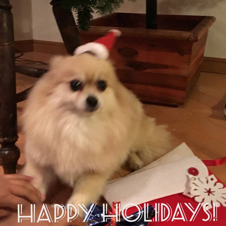 206f487b 6f9b 4d9e b05c 238ff087b6ce 1514194116507