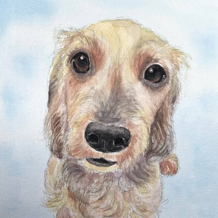 206f5345 933e 46c3 9d80 9ef0de3466fa 1684227665526