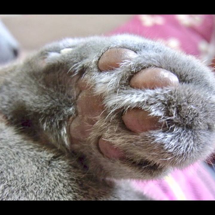 206f6182 5284 4d9d b8d1 3d579a86ac4b 1561730799256