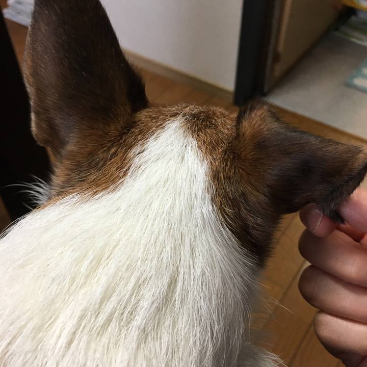 206f65df 2dbb 4997 aa19 ee646279efad 1650064745416