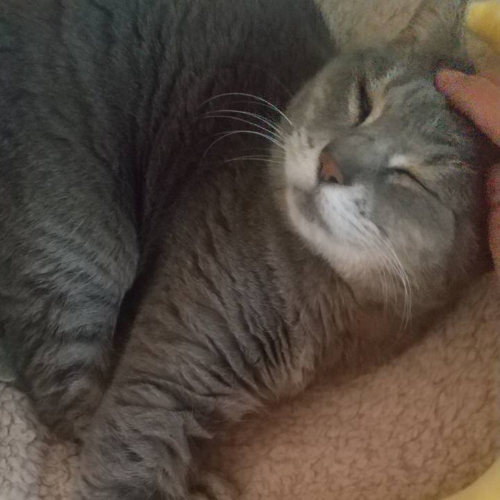 206f910d 7b35 47af 826d ee16320842ac 1650843181374