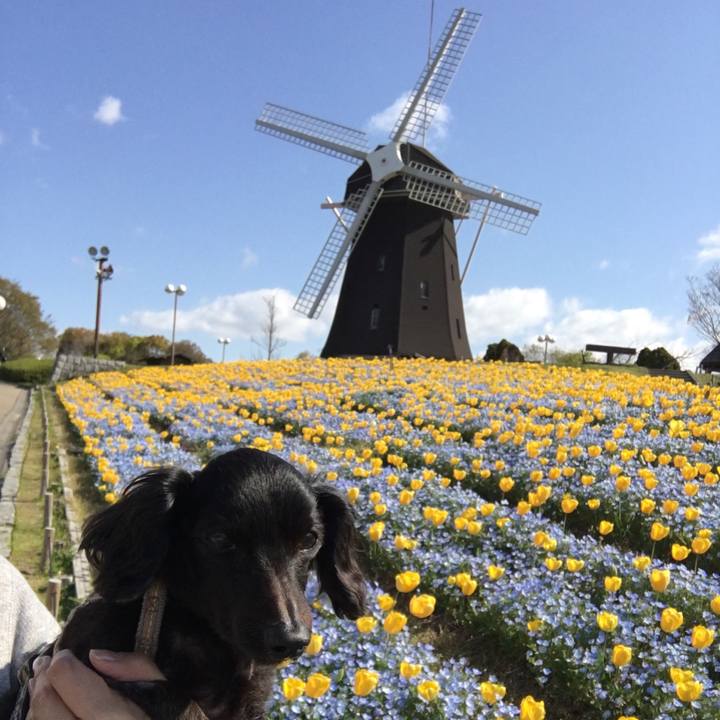 206fdf40 25e6 422e b768 f6543615c77c 1554773790471