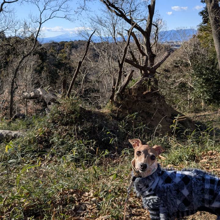 206ffd88 886c 4cb7 a69b 73b154bc066e 1768180851850