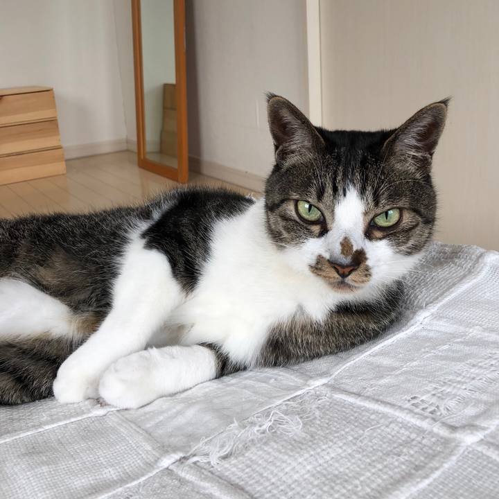 20700ffe bdf2 46ef a2fd 826405013c46 1527722345663