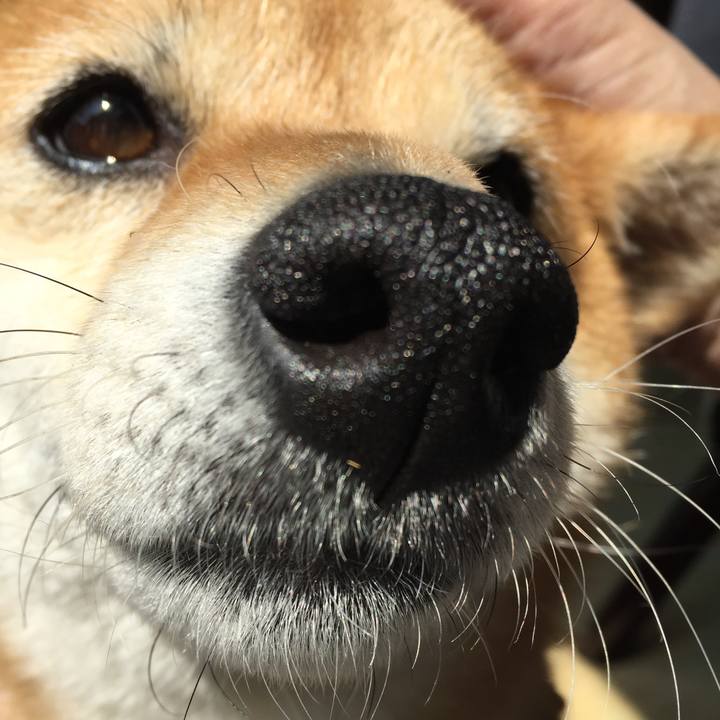 20704101 1879 49a7 9a8e 72b6a38935e0 1523670759258