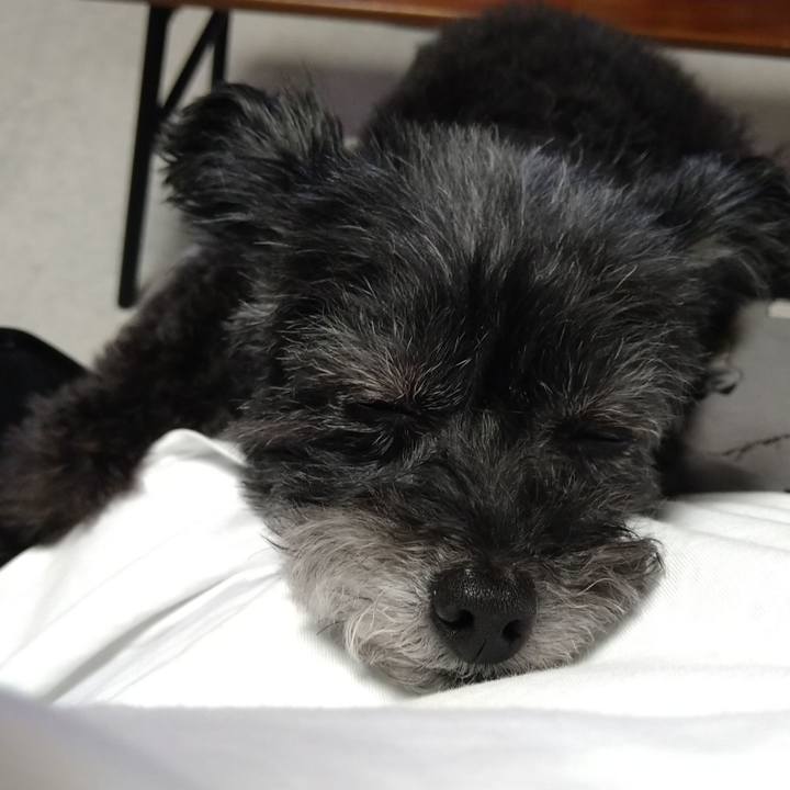 20704a0f 9528 4c88 9851 1793a00fdf0b 1666005649437