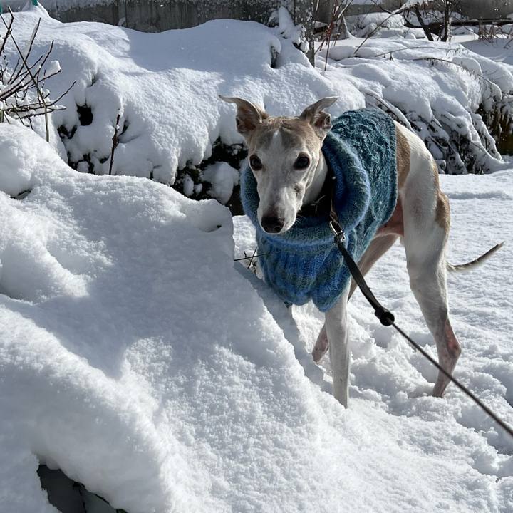 20707a3d 4f1d 4cf0 8b9b 64b79c50c4fc 1765614200849