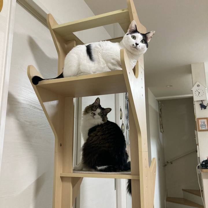 20707d9b 9b33 44f8 863b e681f09625de 1764712603178