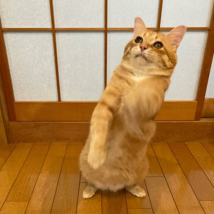 2070823c 7b71 47e4 b73e e761d0095e7d 1756720817276