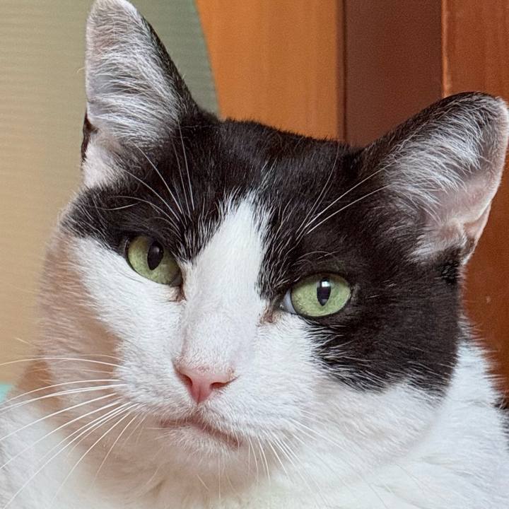 2070a039 3214 457f 8830 01473b8a6201 1751335646502