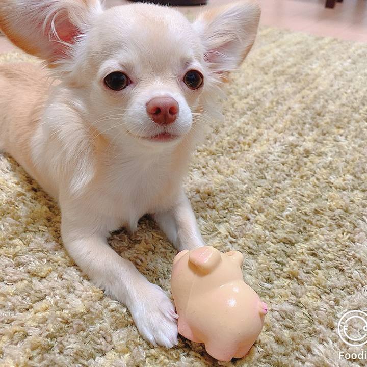 2070d88e d482 4dc0 bf02 a7ce88797178 1602904399656