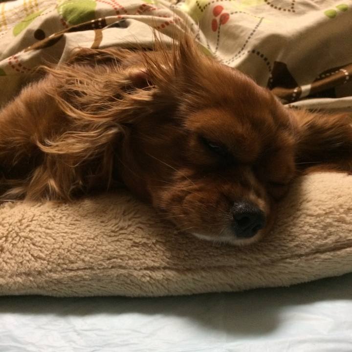 2070e53a ad4c 4d0e 82b7 5c8ec732d0d4 1521552467793