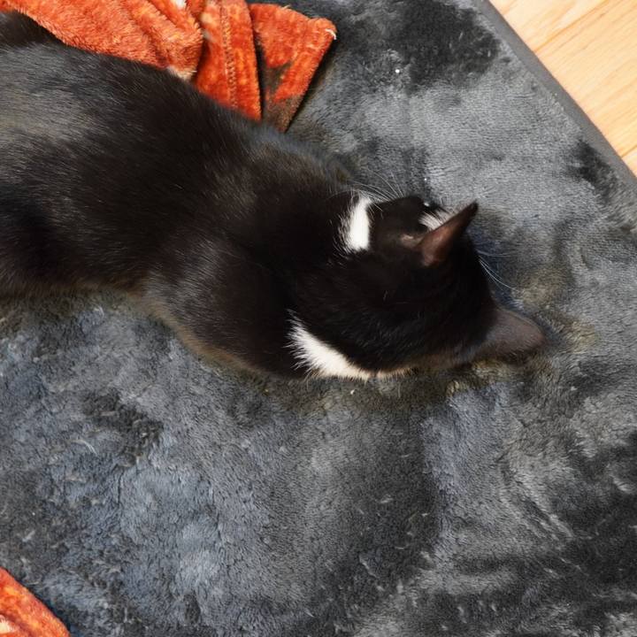 2070e6f4 067f 4161 9e53 708b633cff89 1583287513843