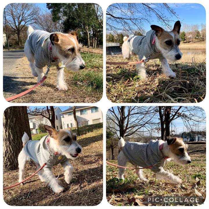 2070e75b 79f1 482e 9d44 31fa7c501dc5 1614247891760