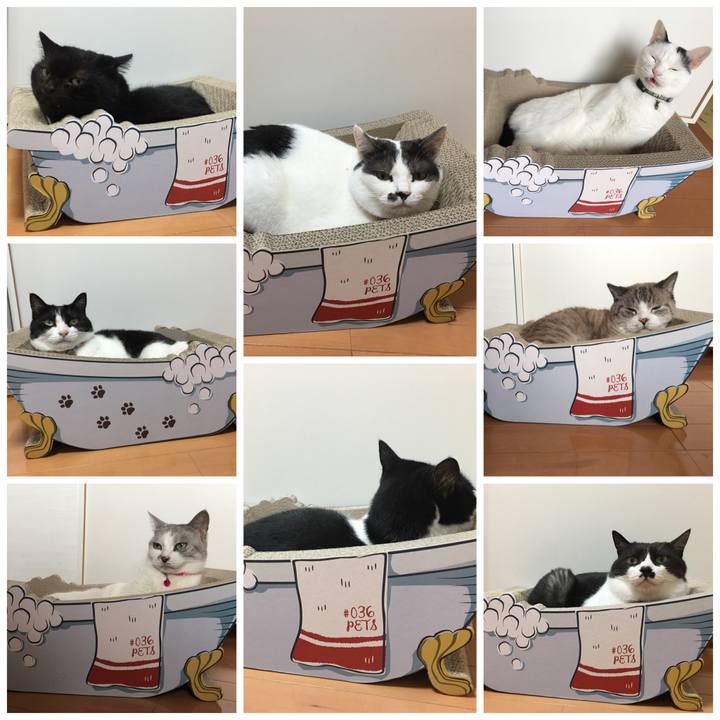 2070e931 e7f7 4a3b b300 ac0c0a7e0e12 1595646634083