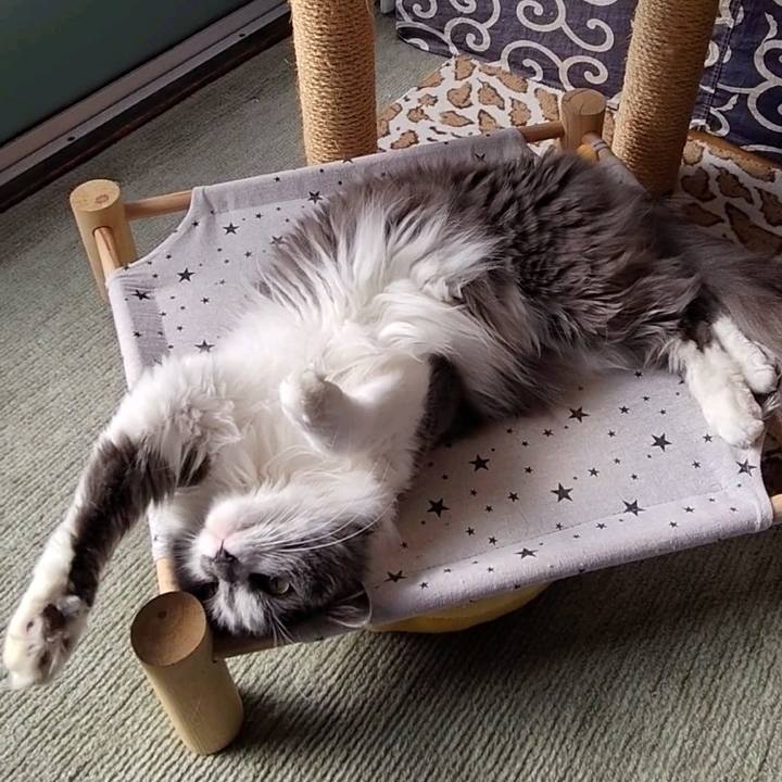 207154a0 e93d 4b7f a869 3096b003cfaa 1674884848490