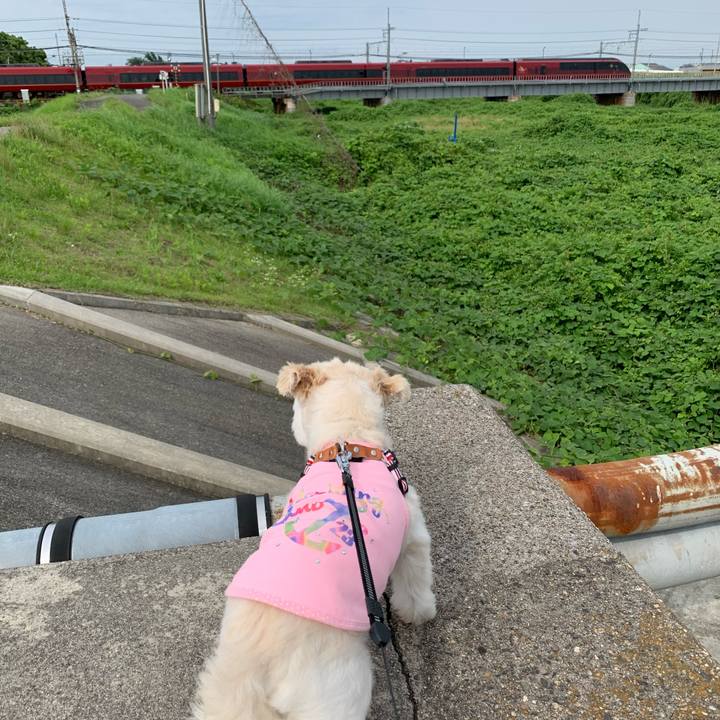 20715efe 35a7 40d6 9d50 5eb814a12d2f 1593604117130