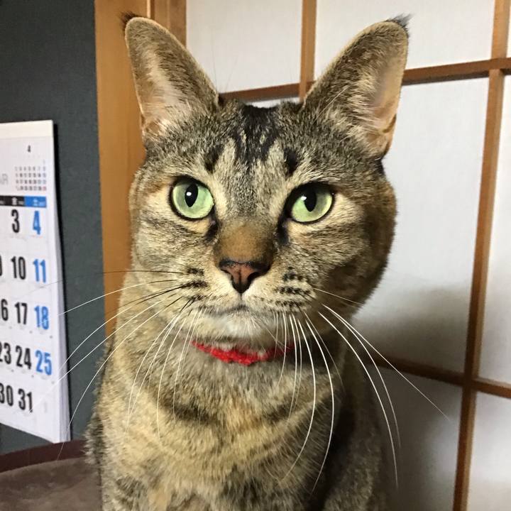 20716b30 8d35 4570 b79f c3bda7121656 1678877647441