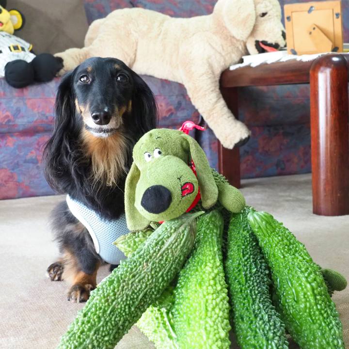 20717458 bdea 4be6 853d 8c133a96f02a 1692939014206