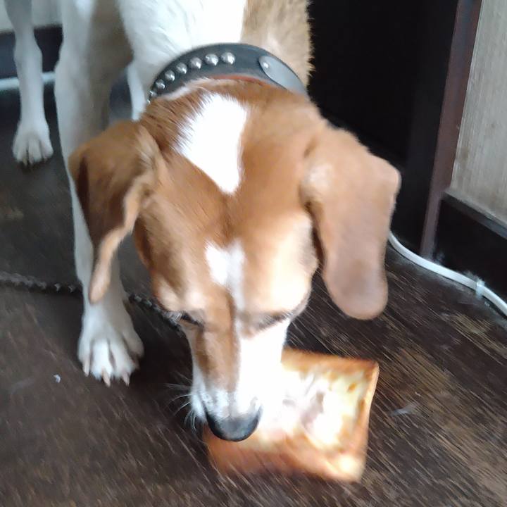 20717ca4 cd8f 4448 b827 399c565ca0d5 1661328615635