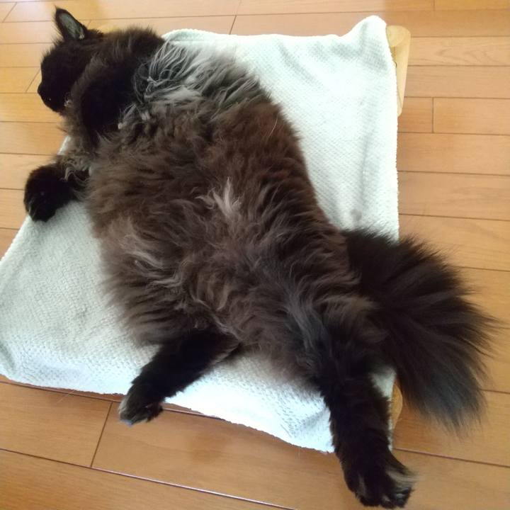 20719d1a 3146 43f9 9abd 11ad87f495d2 1712183603881