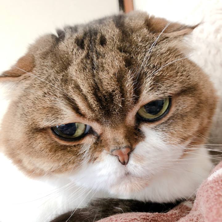 2071ae72 e3dd 45be bd12 7a3980657c12 1581416887863