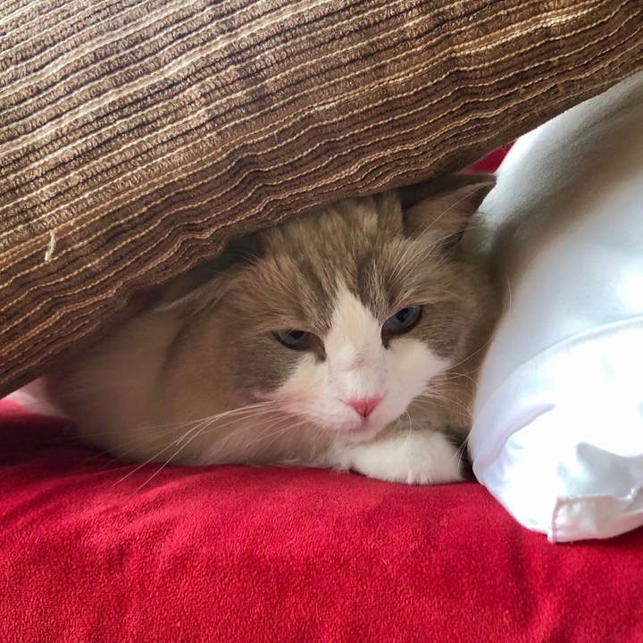 2071d1d8 6e33 402e 81ac 296fc7536461 1633058984805