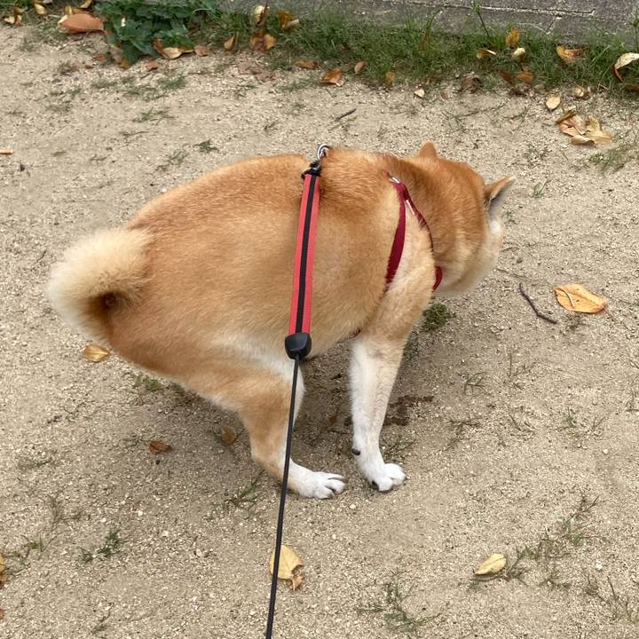 20720d5c 1cf2 449c bf81 63c29cd33736 1633091309379