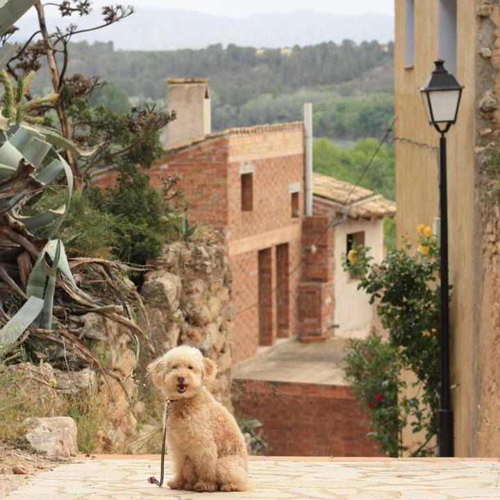 20722c3b 6cfc 4e7c 91bc f479c3e8c108 1527775973275