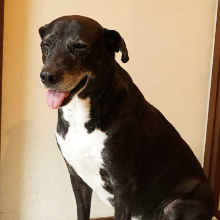 207248ce aea2 4979 9b49 59f615898f11 1758239481830